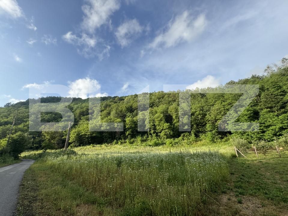 Teren de vânzare Periferie - 173161TV | BLITZ Deva | Poza1