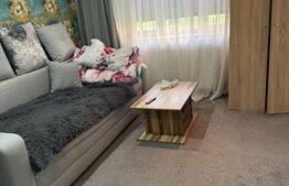 Garsoniera 1 camera -zona Streiului