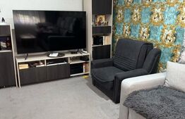 Garsoniera 1 camera -zona Streiului