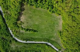 Teren superb, în mijlocul naturii, 18.360 mp, la Cărjiți 