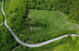 Teren superb, în mijlocul naturii, 18.360 mp, la Cărjiți 