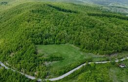 Teren superb, în mijlocul naturii, 18.360 mp, la Cărjiți 