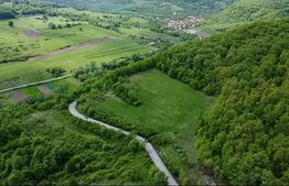 Teren superb, în mijlocul naturii, 18.360 mp, la Cărjiți 