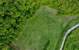 Teren superb, în mijlocul naturii, 18.360 mp, la Cărjiți 