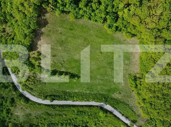 Teren de vânzare Est - 173309TV | BLITZ Deva | Poza3