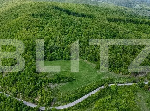 Teren de vânzare Est - 173309TV | BLITZ Deva | Poza2