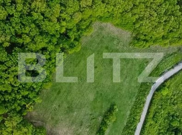 Teren de vânzare Est - 173309TV | BLITZ Deva | Poza6