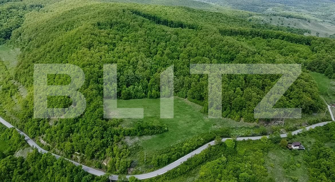 Teren de vânzare Est - 173309TV | BLITZ Deva | Poza2