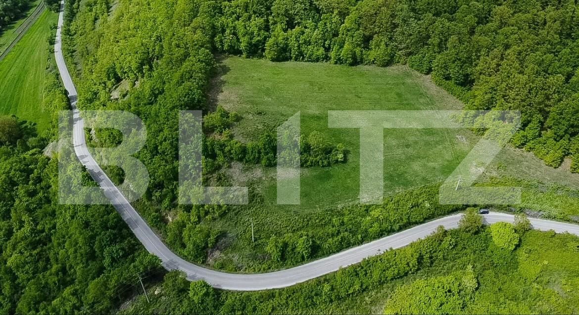 Teren de vânzare Est - 173309TV | BLITZ Deva | Poza4