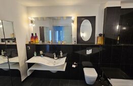  Spațiu comercial cu potential de dezvoltare, 197 mp în Progresul - DEVA 