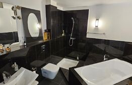  Spațiu comercial cu potential de dezvoltare, 197 mp în Progresul - DEVA 