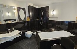  Spațiu comercial cu potential de dezvoltare, 197 mp în Progresul - DEVA 