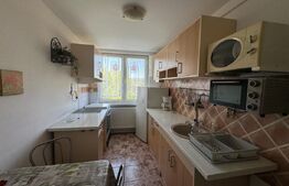 Apartament cu 2 camere, 46,33 mp, zona Brad