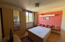 Apartament cu 2 camere, 46,33 mp, zona Brad