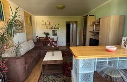 Apartament cu 2 camere, 46,33 mp, zona Brad