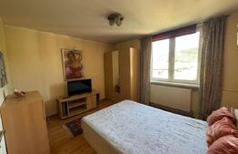 Apartament cu 2 camere, 46,33 mp, zona Brad