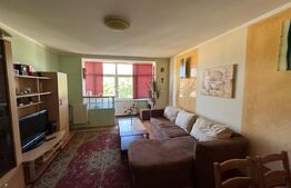 Apartament cu 2 camere, 46,33 mp, zona Brad