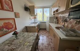 Apartament cu 2 camere, 46,33 mp, zona Brad