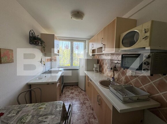 Apartament de vânzare 2 camere Brad - 173395AV | BLITZ Deva | Poza8