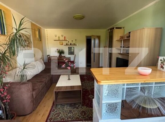 Apartament de vânzare 2 camere Brad - 173395AV | BLITZ Deva | Poza2