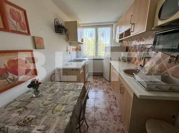 Apartament de vânzare 2 camere Brad - 173395AV | BLITZ Deva | Poza7