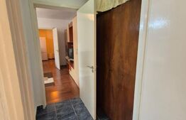 Apartament de vanzare, cu 2 camere, 47 mp, zona Gojdu  