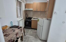  Apartament 2 camere renovat, mobilat și utilat complet – Deva, zona Șaguna