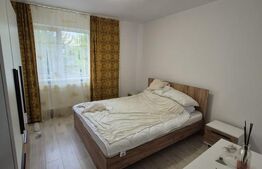  Apartament 2 camere renovat, mobilat și utilat complet – Deva, zona Șaguna