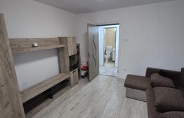  Apartament 2 camere renovat, mobilat și utilat complet – Deva, zona Șaguna