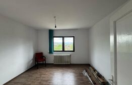 Casa cu 6 camere in Hunedoara