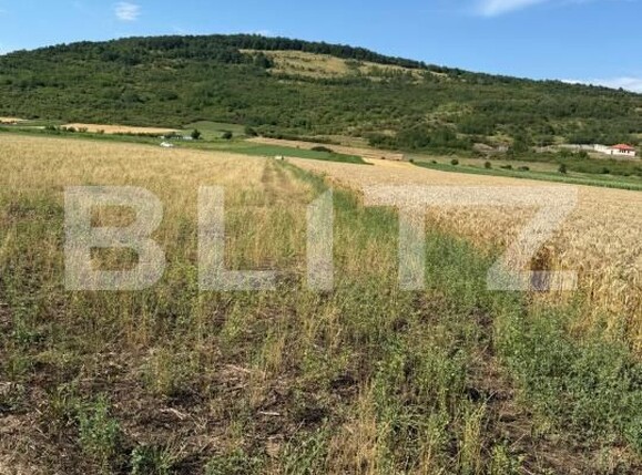 Teren de vânzare Soimus - 173922TV | BLITZ Deva | Poza1
