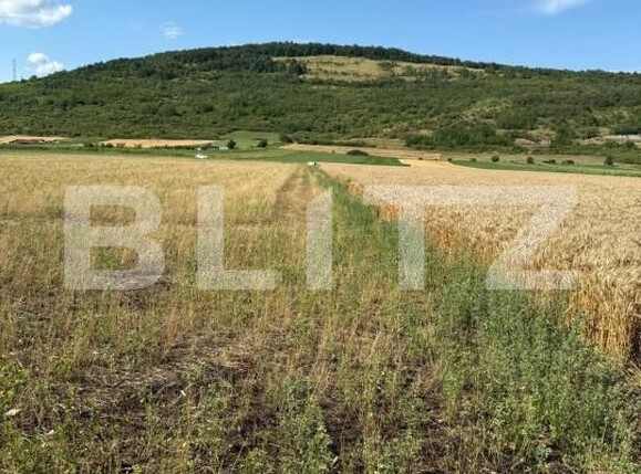 Teren de vânzare Soimus - 173922TV | BLITZ Deva | Poza2