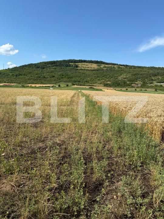 Teren de vânzare Soimus - 173922TV | BLITZ Deva | Poza2