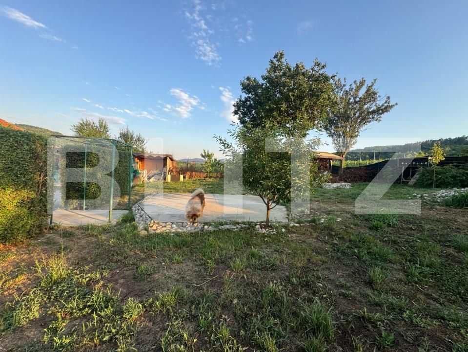 Casa de vânzare 3 camere Periferie - 174032CV | BLITZ Deva | Poza13