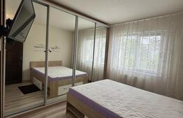 Apartament cu 3 camere, zona Minerului