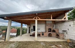 Locuință sau business? Tu alegi – proprietate cu multiple posibilități în Peștiș