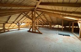 Locuință sau business? Tu alegi – proprietate cu multiple posibilități în Peștiș