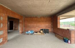 Locuință sau business? Tu alegi – proprietate cu multiple posibilități în Peștiș