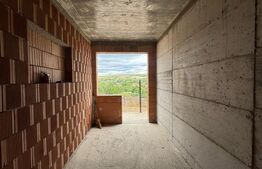 Locuință sau business? Tu alegi – proprietate cu multiple posibilități în Peștiș