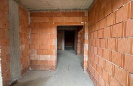 Locuință sau business? Tu alegi – proprietate cu multiple posibilități în Peștiș