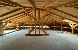 Locuință sau business? Tu alegi – proprietate cu multiple posibilități în Peștiș