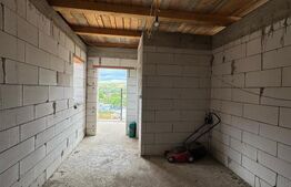 Locuință sau business? Tu alegi – proprietate cu multiple posibilități în Peștiș