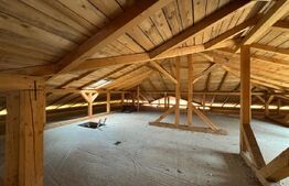 Locuință sau business? Tu alegi – proprietate cu multiple posibilități în Peștiș