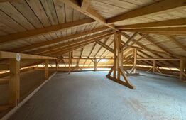 Locuință sau business? Tu alegi – proprietate cu multiple posibilități în Peștiș