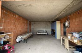 Locuință sau business? Tu alegi – proprietate cu multiple posibilități în Peștiș