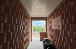 Locuință sau business? Tu alegi – proprietate cu multiple posibilități în Peștiș