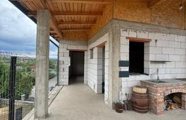 Locuință sau business? Tu alegi – proprietate cu multiple posibilități în Peștiș