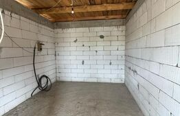 Locuință sau business? Tu alegi – proprietate cu multiple posibilități în Peștiș