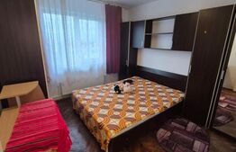 Apartament 2 camere, vedere superbă spre natură, zona Maxxa – liniște, verdeață 