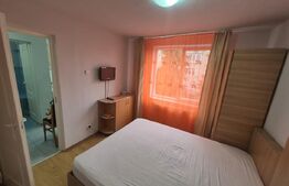 Garsonieră cochetă, 28 mp, complet renovată, ultracentral – Deva 